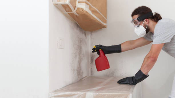 Professional Mold Remediation technician working in Clinton, WA