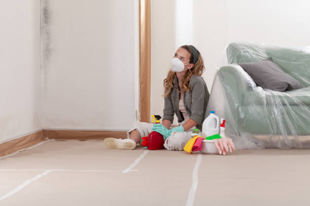 Reliable Mold Remediation contractor in Clinton, WA by 24 Hour Mold Removal